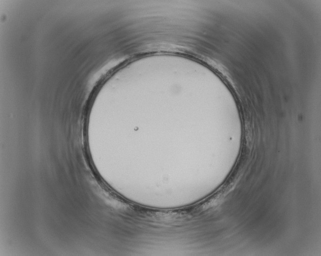 X0000062670987200601181856