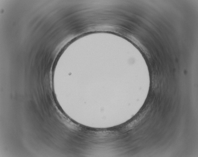 X0000062670988200601181856