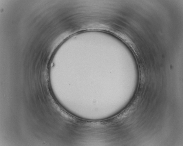 X0000062670990200601181856