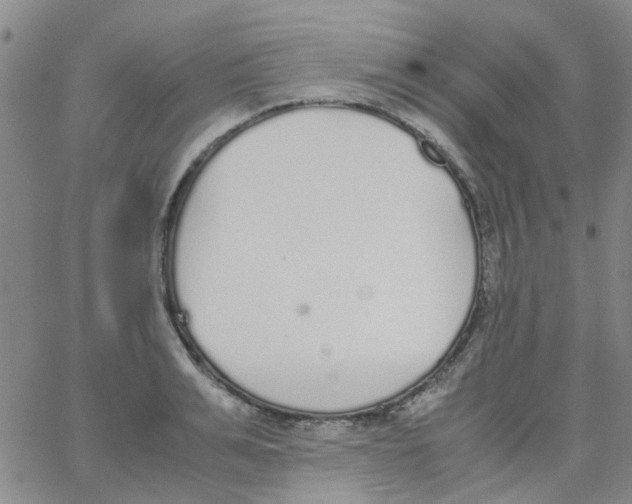 X0000062670991200601181856