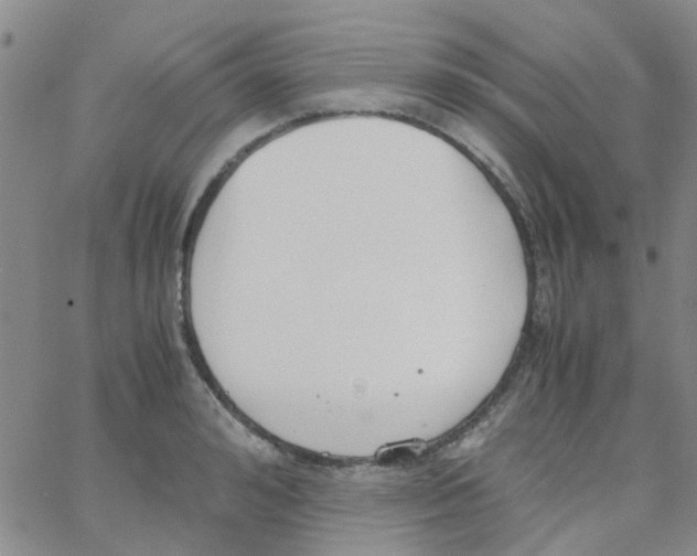 X0000062670992200601181856