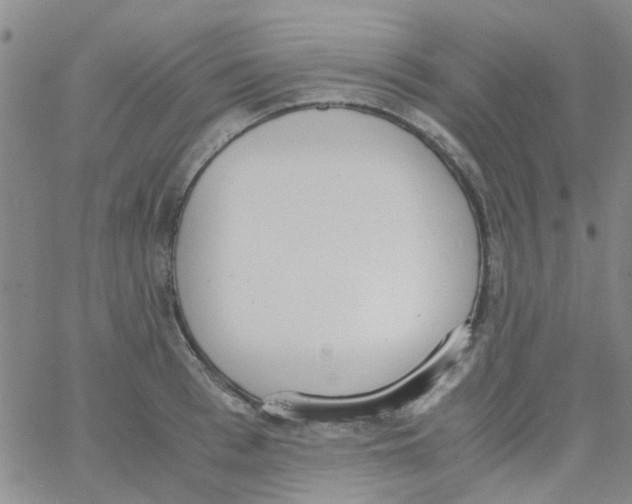 X0000062670993200601181856