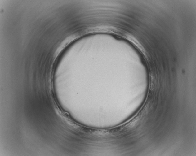 X0000062670994200601181856