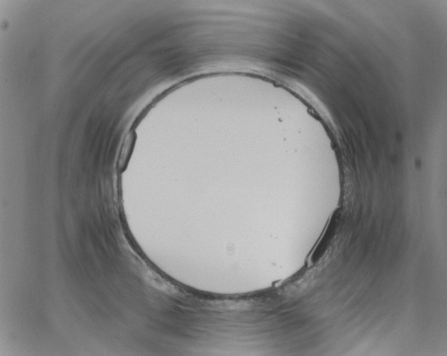 X0000062670996200601181856