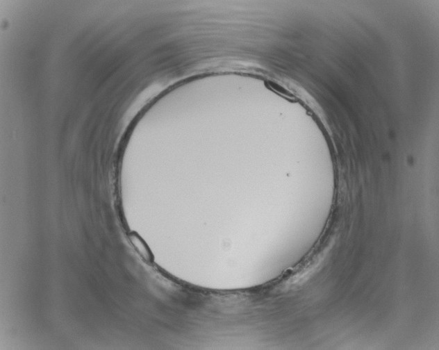 X0000062670997200601181856