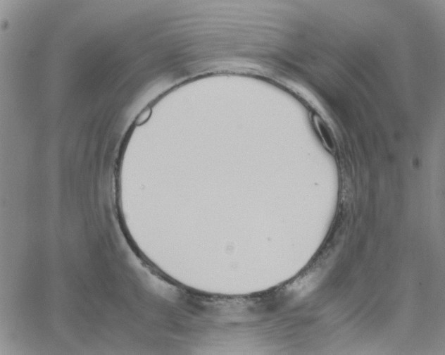 X0000062670999200601181856