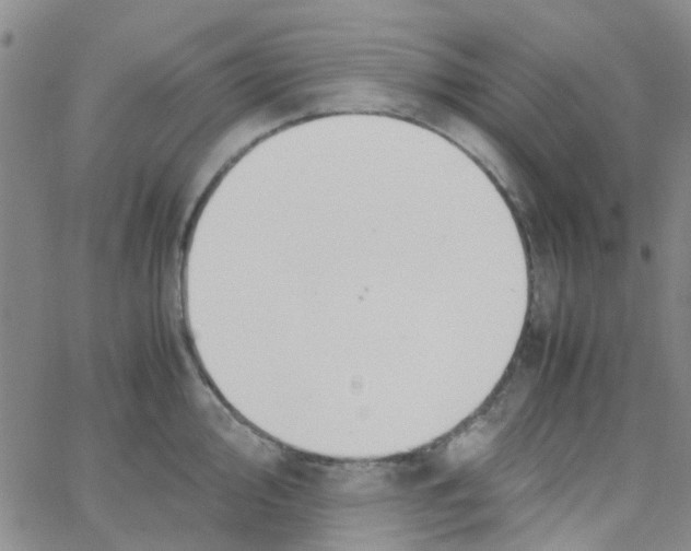 X0000062671000200601181856