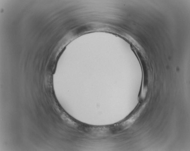 X0000062671001200601181856