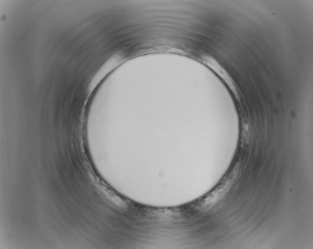 X0000062671002200601181856