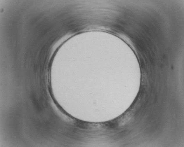 X0000062671003200601181856