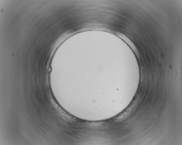 X0000062671004200601181856