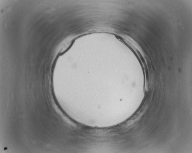 X0000062671005200601181856