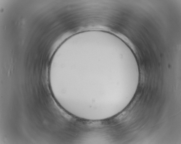 X0000062671006200601181856