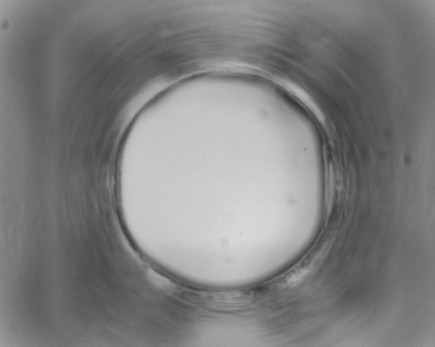 X0000062671007200601181856