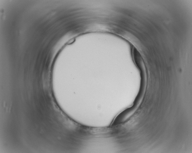 X0000062671008200601181856