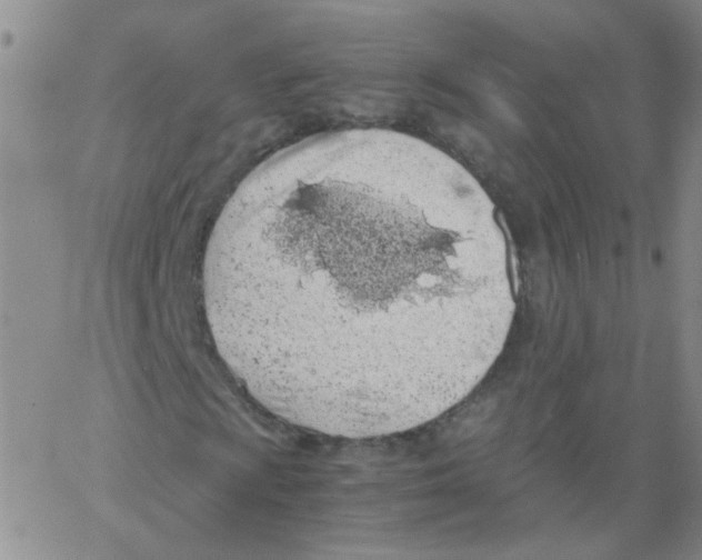 X0000062671009200601181855