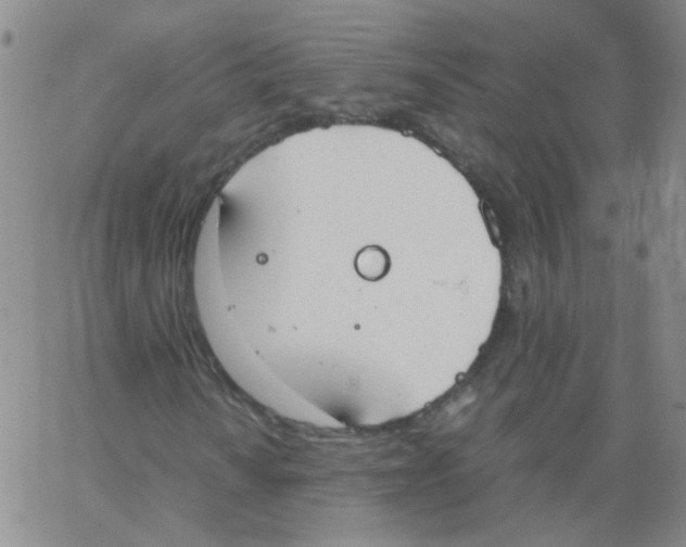 X0000062671010200601181855