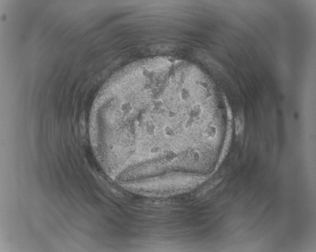 X0000062671011200601181855