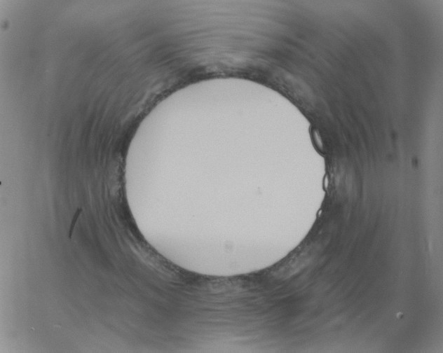 X0000062671012200601181855