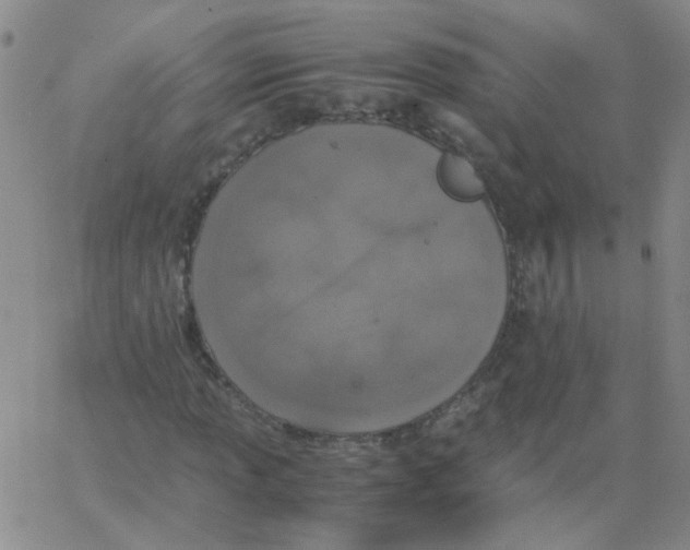 X0000062671013200601181855