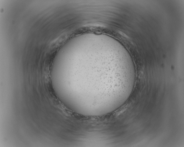 X0000062671014200601181855