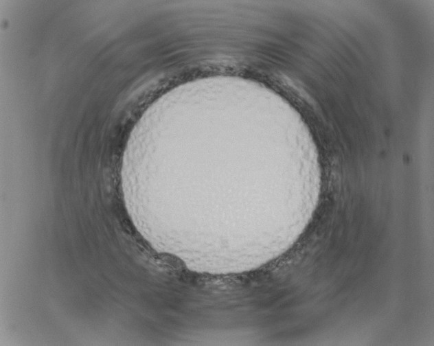 X0000062671015200601181855