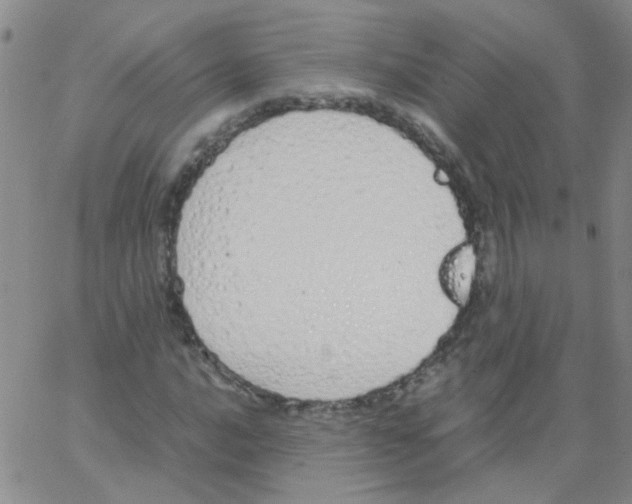 X0000062671016200601181855