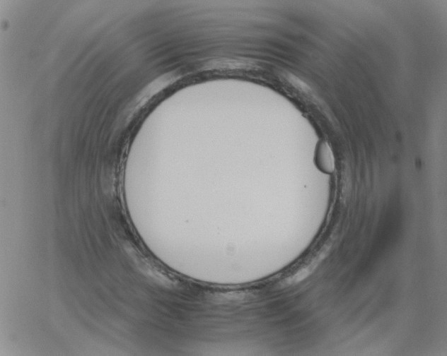 X0000062671017200601181855