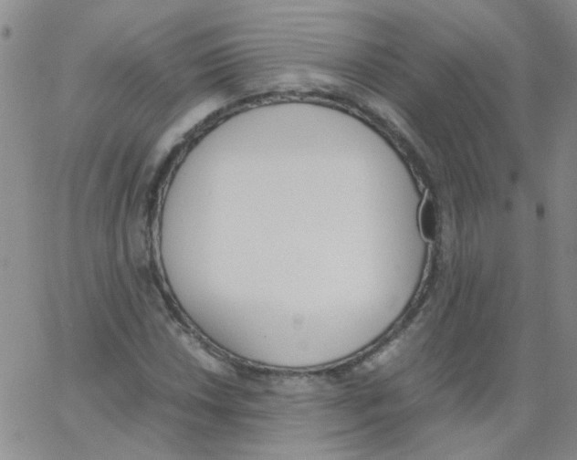 X0000062671018200601181855