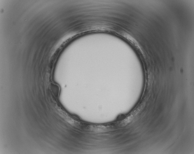 X0000062671019200601181855