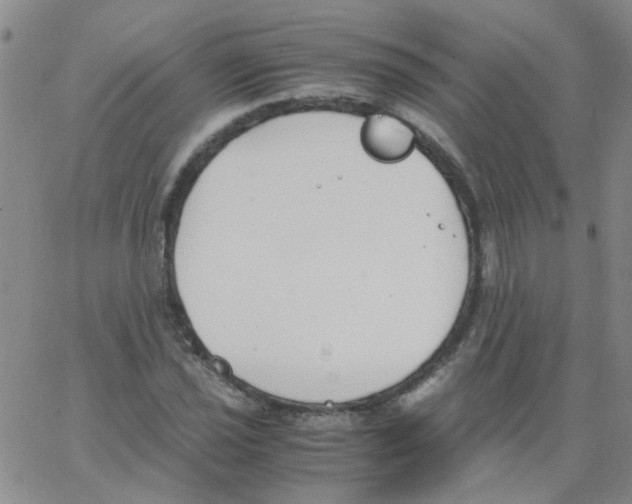 X0000062671021200601181855