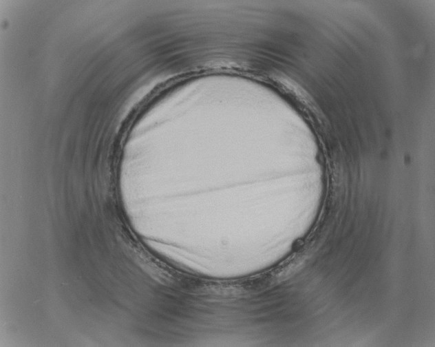 X0000062671023200601181855