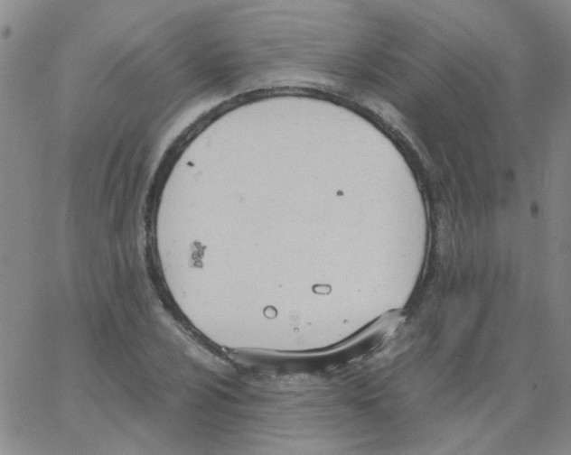 X0000062671024200601181855