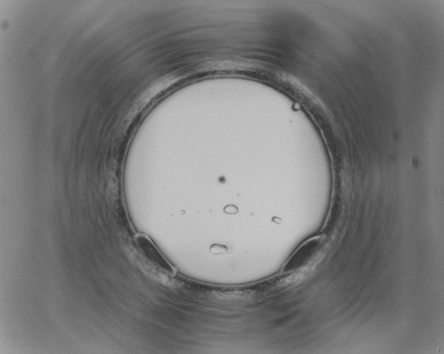 X0000062671025200601181855