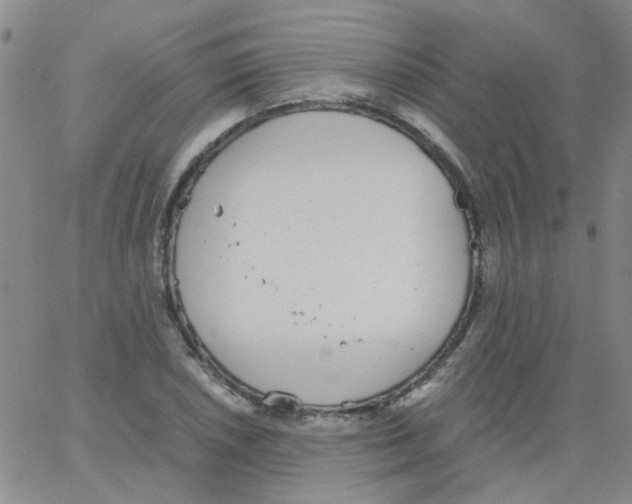 X0000062671026200601181855