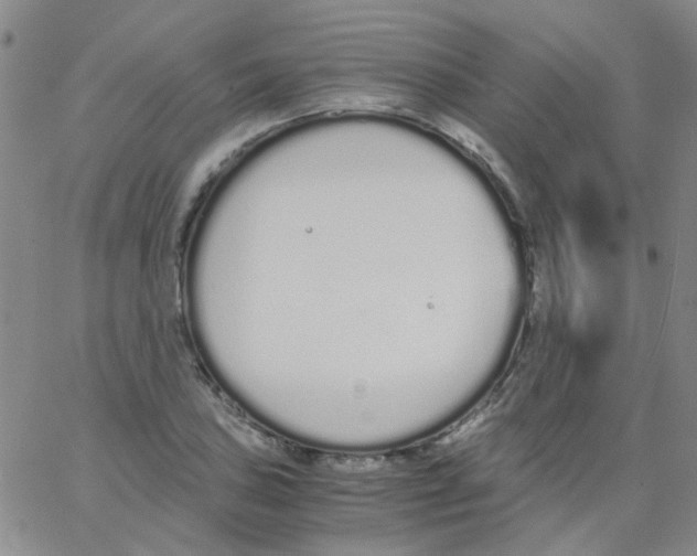 X0000062671027200601181855