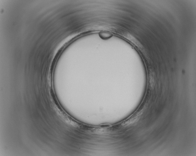 X0000062671028200601181855