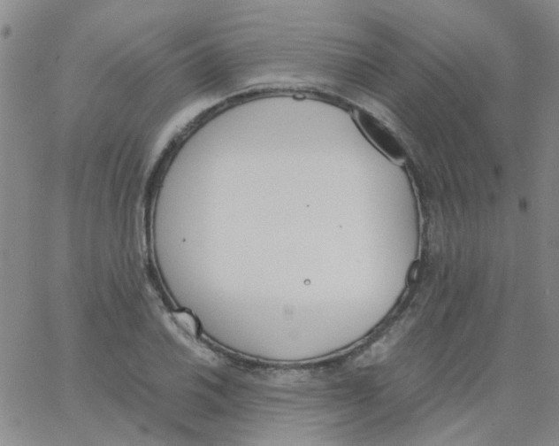 X0000062671030200601181855