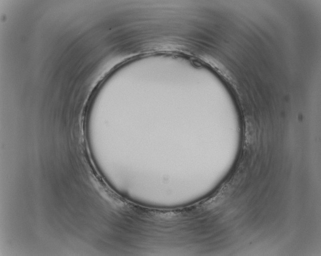 X0000062671031200601181855