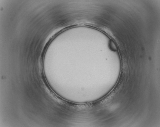 X0000062671032200601181855