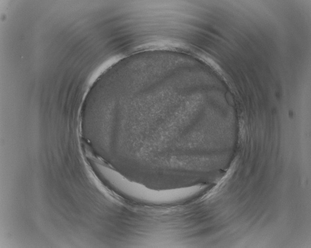 X0000062671034200601181855