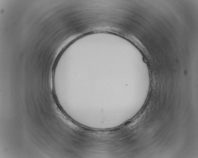 X0000062671036200601181855