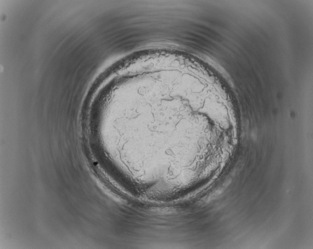 X0000062671037200601181855