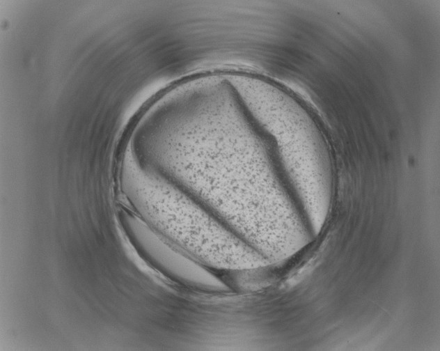 X0000062671038200601181855