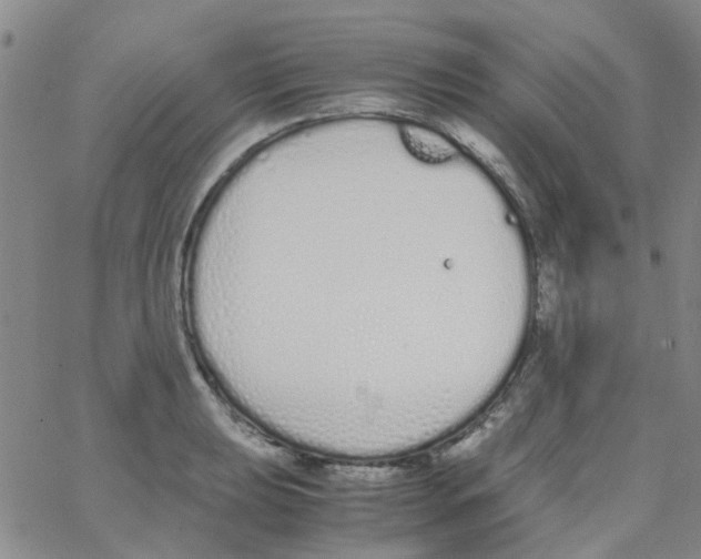 X0000062671039200601181855