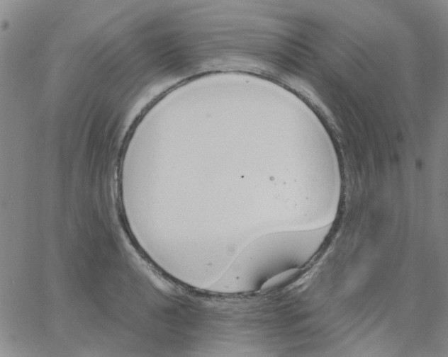 X0000062671040200601181855