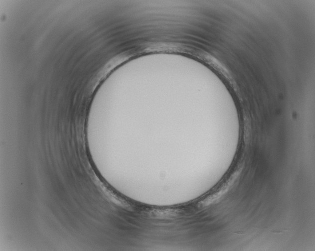 X0000062671041200601181855