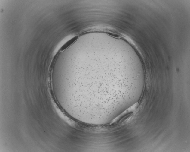 X0000062671042200601181855