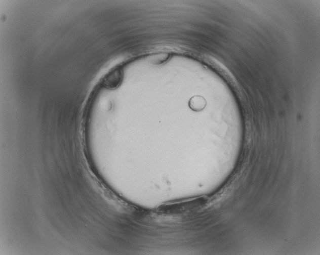 X0000062671043200601181855