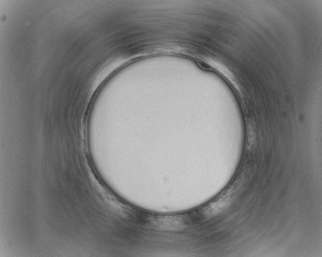 X0000062671047200601181855